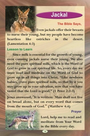 Jackal in the Bible